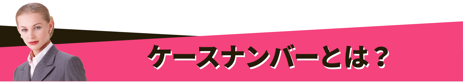 ケースナンバーとは？