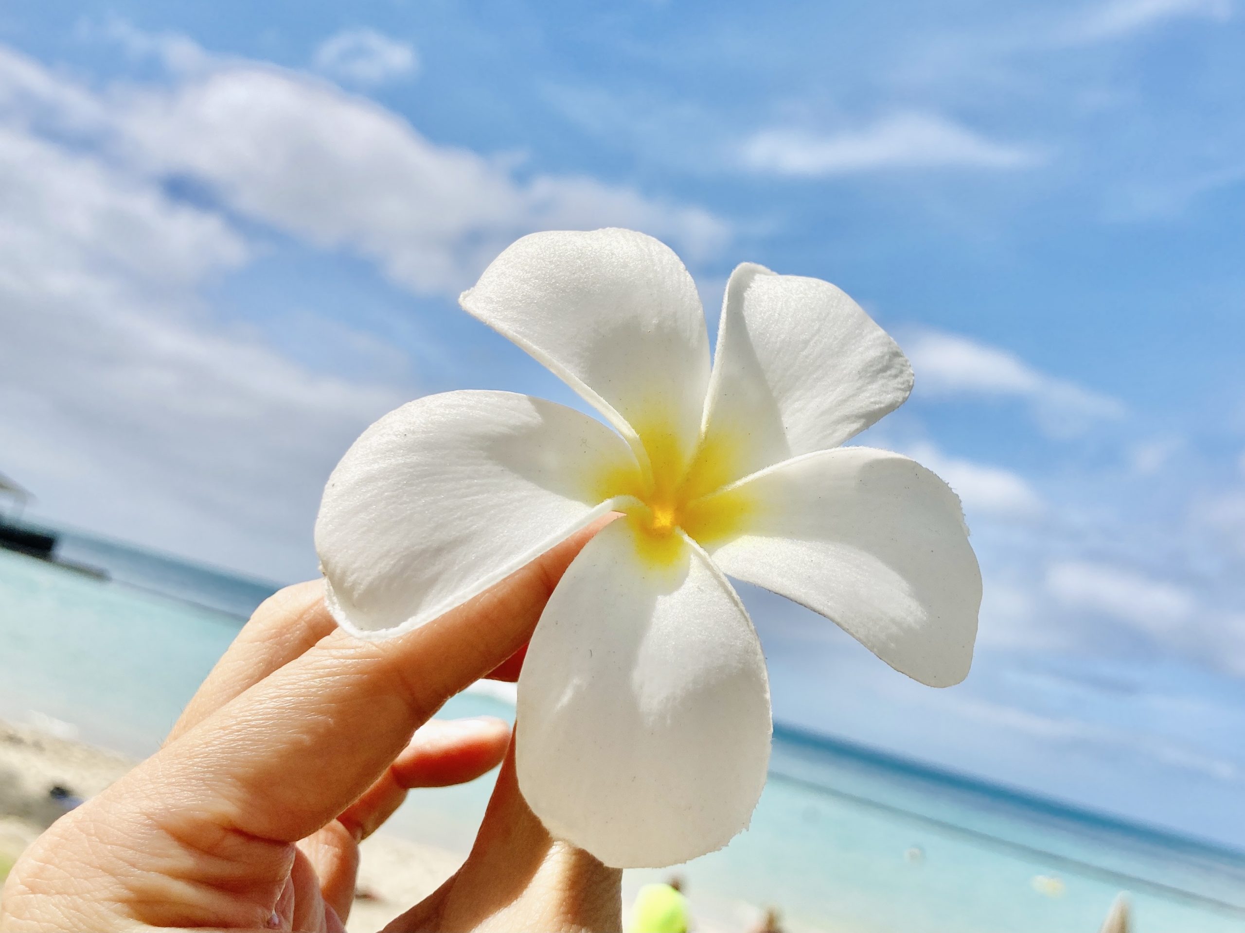 21年10月グリーンカード取得手続きin Hawaii アメリカ永住権グリーンカード グリーンカードジェーピーブログ