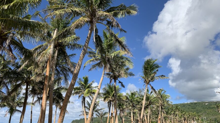 DV-2026ご当選Tさんの2026年2月グアムアクティベート